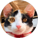 siria law profile picture